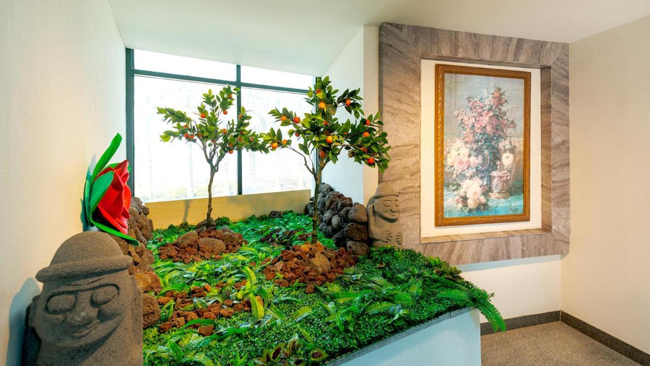 Sea Cliff Hotel Τζέτζου Εξωτερικό φωτογραφία