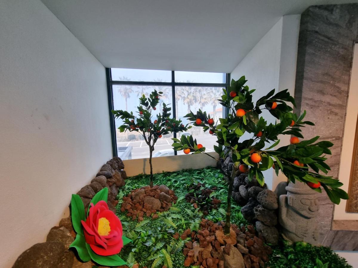 Sea Cliff Hotel Τζέτζου Εξωτερικό φωτογραφία